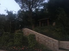 -福建鲤鱼洲酒店