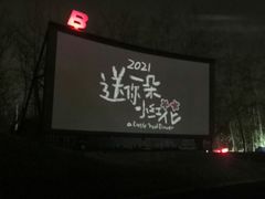 -枫花园汽车电影院(朝阳公园店)