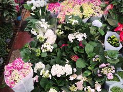 -秦美花卉(天朗·莱茵小城2期店)