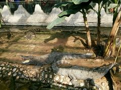 -石家庄极地海洋世界