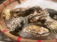 -顺德美的万豪酒店·自助餐·贡厨