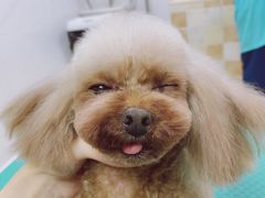 -佳雯宠物医院(四明中路分院)