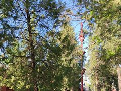 -少林寺欢喜地素斋馆