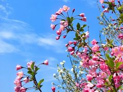 -厨创东北传家菜(信义坊店)