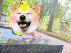 -三亚海棠湾南田温泉神龙谷
