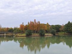 -尚贤河湿地