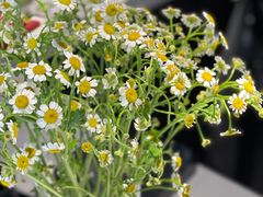 -FULL MOON满月咖啡