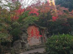 -杭州黄龙洞