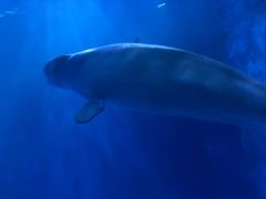 -多彩贵州城极地海洋世界