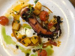 Charred&nbsp;Fremantle&nbsp;Octopus-植物园哈利亚餐厅