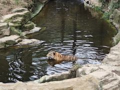 -大连森林动物园