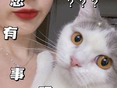 -伟伟宠物医院·CT影像中心·瑞派犬猫综合性门诊(汉口总院)