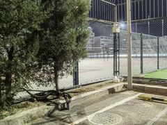 -北京大学五四田径场