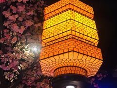 大堂-绿茶餐厅(西湖银泰百货店)