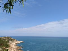 -广东惠东海龟国家级自然保护区