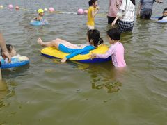 -碧海金沙