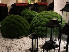 -清水湾足道馆