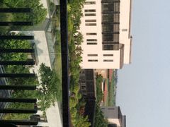 -上海崇明金茂凯悦酒店