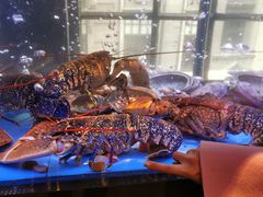 -皇朝会.经典传统粤菜(外滩店)