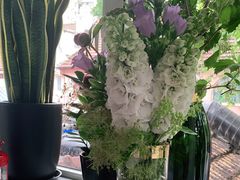 -蝶舍·MAISON PAPILLON