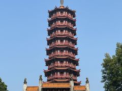 -大雁山风景区