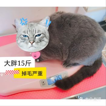 换毛季来临…深层防掉毛洗护走起