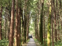 -同里国家湿地公园