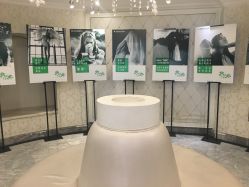 -深圳春天阳光医院·轮廓抗衰中心