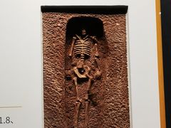 -盘龙城国家考古遗址公园