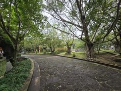 -海口火山口国家地质公园