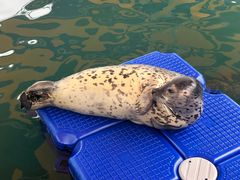 -华夏文旅海洋公园