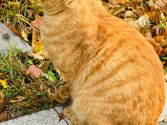 -迎泽公园