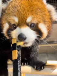 -Zoolung Zoolung动物主题公园(海信广场店)