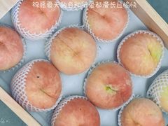 -南汇水蜜桃采摘(大团店)