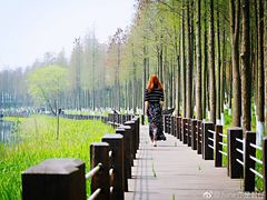-太湖湖滨国家湿地公园-停车场