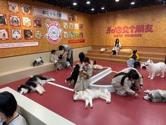 -和它·交个朋友·狗咖猫咖(爱琴海店)
