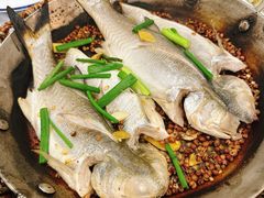 -阿忠食坊大排档·20年老店(万象城店)