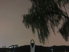 -东华大学(松江校区)