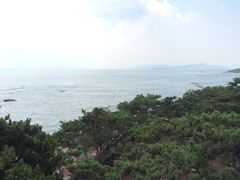 iphone_upload_pic-八大关景区