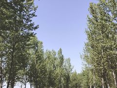 -东郊湿地公园