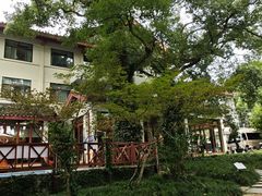 -普陀山雷迪森庄园