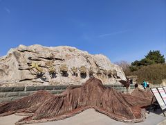 -北京西山国家森林公园