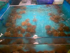 -拉完海鲜大排档(温岭店)