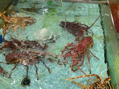 -渔民新村(番禺总店)