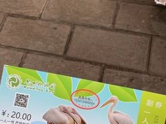 -昆明动物园