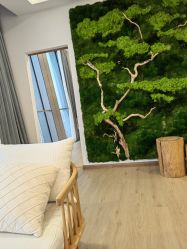 -POCO宝珂丽科技美肤