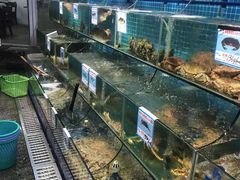 水产区-范饭椰林川湘味海鲜·椰子鸡(三亚湾椰梦长廊店)