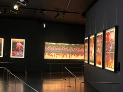 -罗红摄影艺术馆