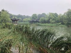 -日出青木·杭帮菜名店