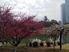 -白塘生态植物园